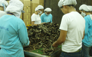 Inside of the factory