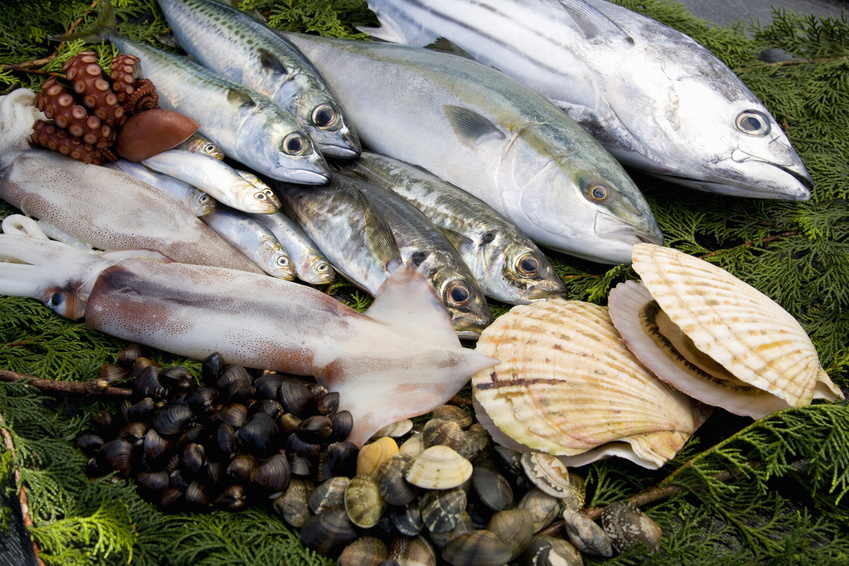 [LNG:ENG]Fresh fish