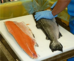 Prime-quality king salmon is used.