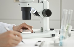 [LNG:ENG]Studying and developing