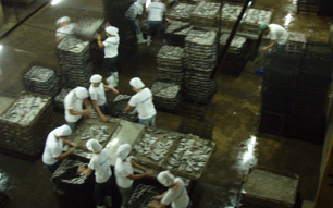 Inside of the factory